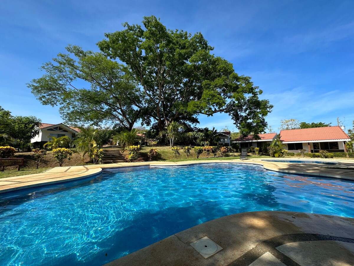 Lagarto Villa photo 4
