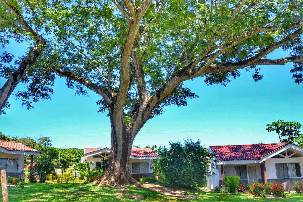 Lagarto Villa photo 7