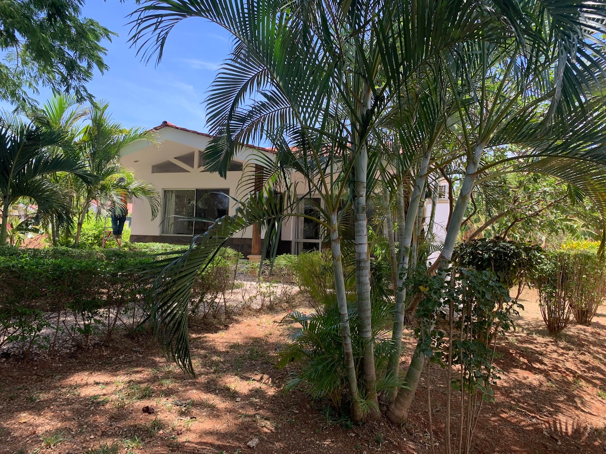 Lagarto Villa photo 17